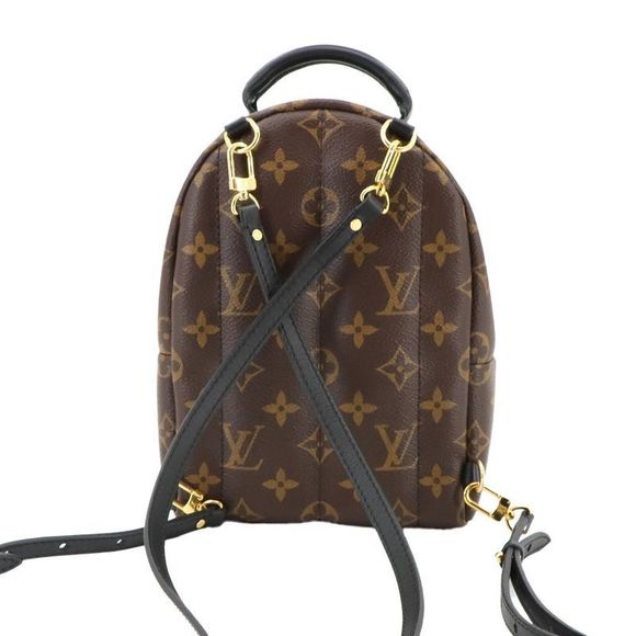 Exhibit Louis Vuitton Monogram Palm Sp Ring Su Backpack MINI Backpack Sac Brown - Picture 3 of 9